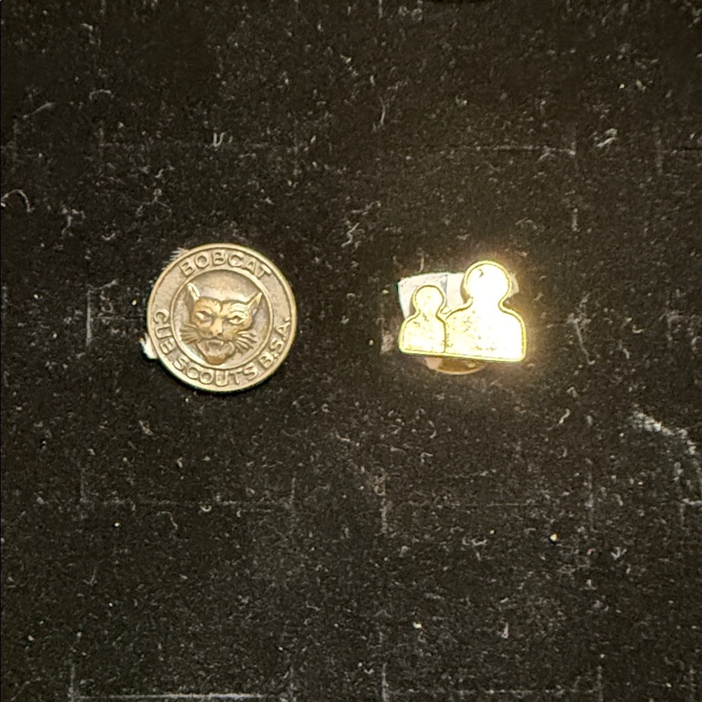 Cub Scouts USA Bobcat Pin - Gold